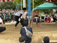IMG_9589