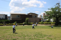 529ennsoku3