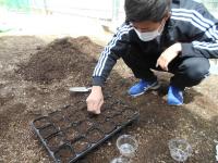 宮谷先生、種まき中
