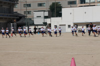 hasirikata5