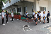 saibai5